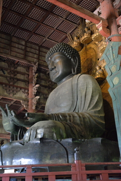 奈良の大仏2