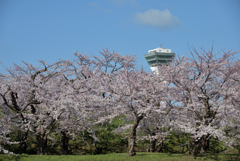 ぷらっと旅　タワー浮く