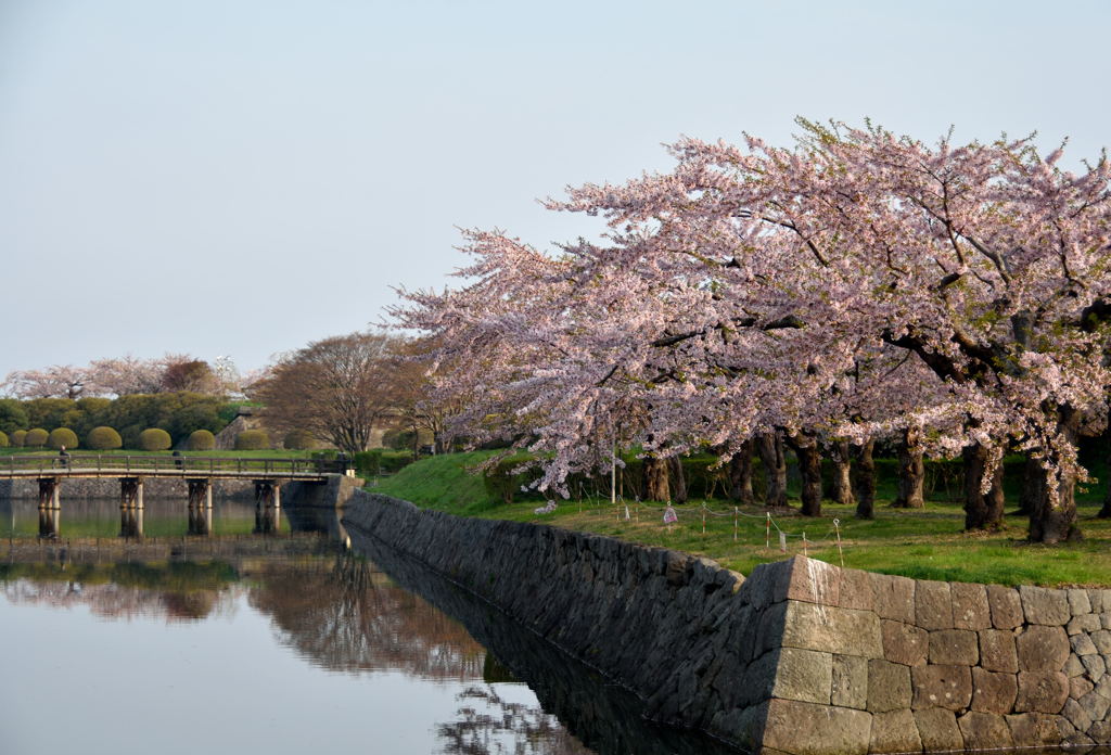 ぷらっと旅　函館　五稜郭公園　１