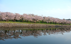 ぷらっと旅　函館　五稜郭公園　6