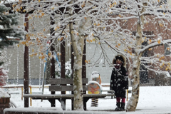 ふらり散歩　雪降る公園で