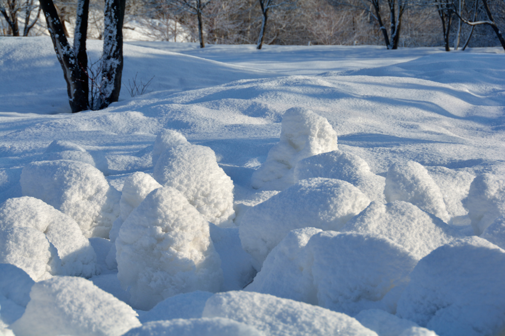 ふらり散歩　なごり雪
