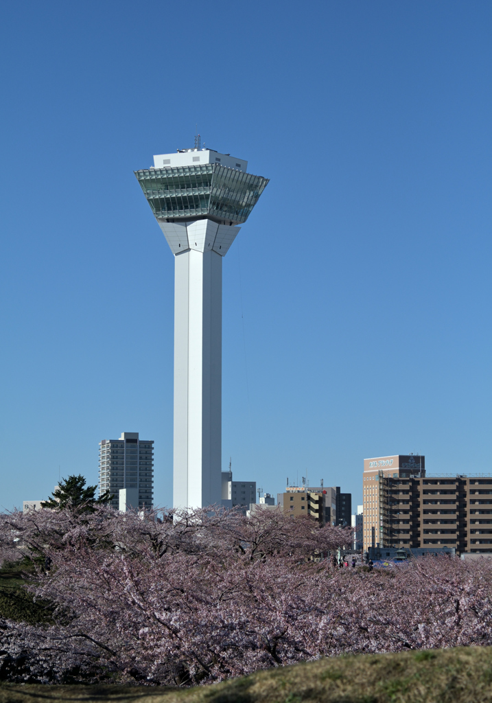 ぷらっと旅 五稜郭タワー by 力太郎 （ID：8687976） - 写真共有サイト:PHOTOHITO