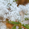 休日の過ごし方　雪華の温み　２