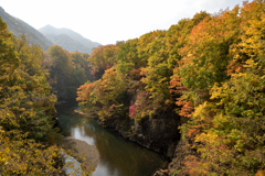 ぷらっと旅　週末の黄葉