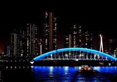 8年前の永代橋・佃島高層ビル群（夜景）