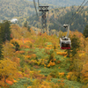 ぷらっと旅　速報　旭岳紅葉