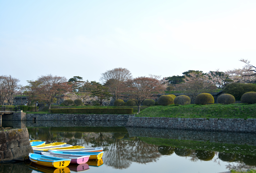 ぷらっと旅　函館　五稜郭公園　4