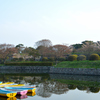 ぷらっと旅　函館　五稜郭公園　4