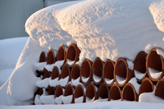 ふらり散歩　朝陽の雪肌