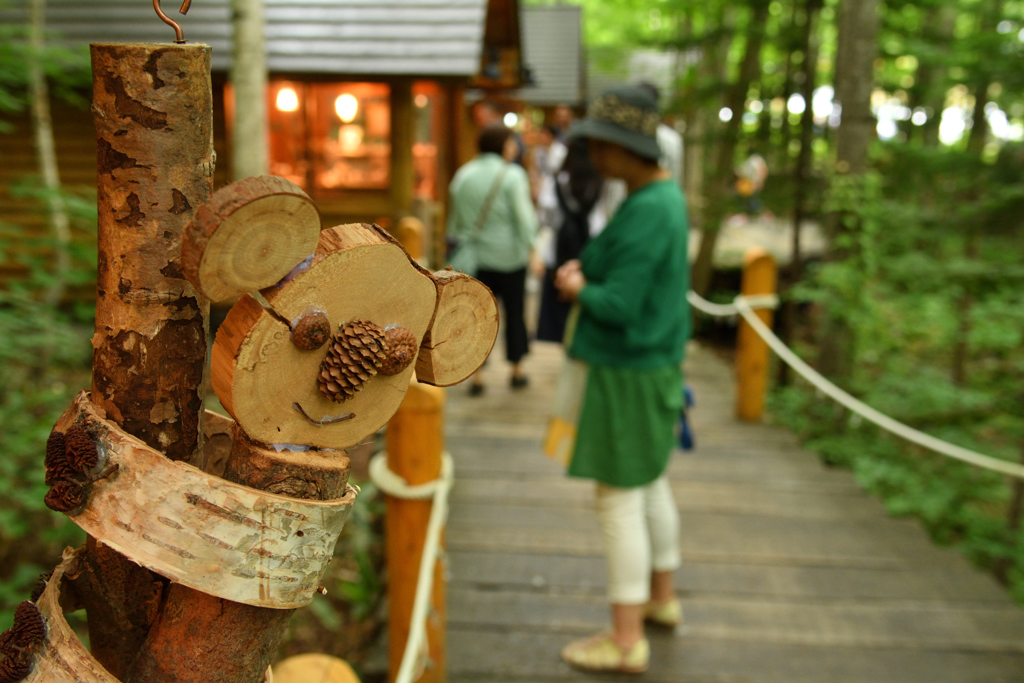 ぷらっと旅 富良野の森 ニングル？ by 力太郎 （ID：5843649） - 写真共有サイト:PHOTOHITO