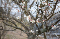 20150308 2