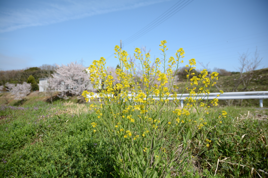 20150404 3