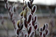 20150308 5