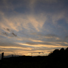 DSC_1334