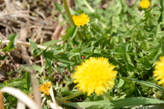 20150321 1
