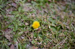 20150228 3