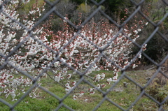 20150228 4