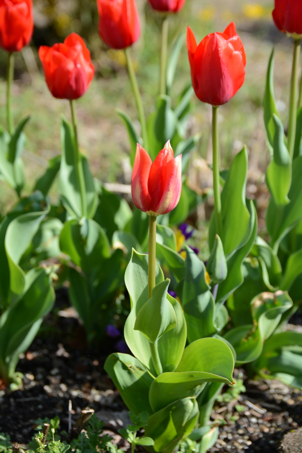 20150404 1