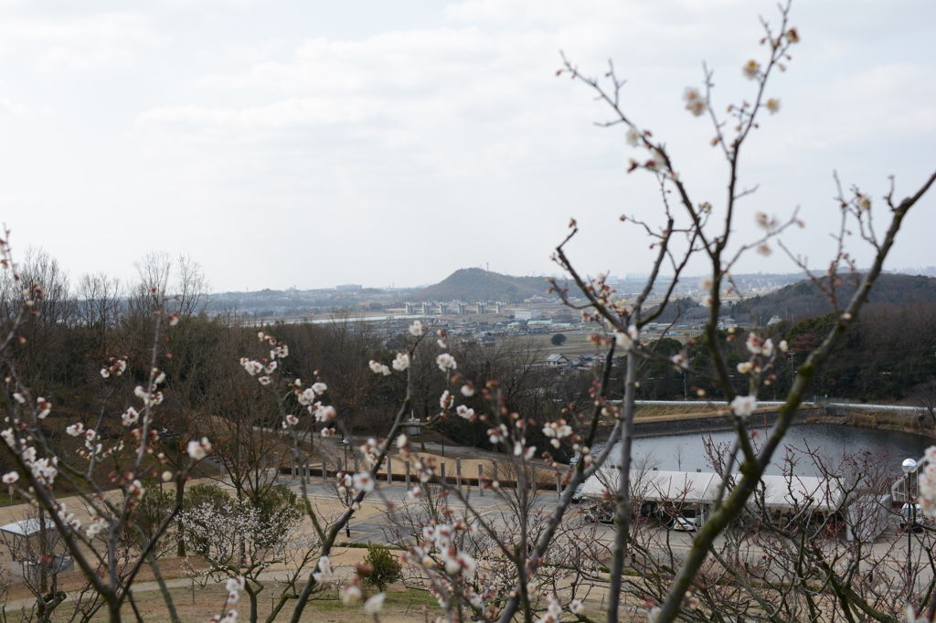 20150228 6