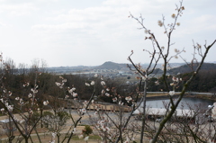20150228 6