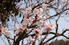 20150321 6