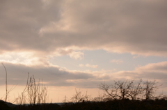 20150308 4