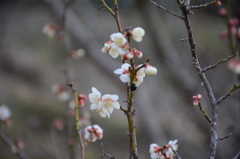 20150308 3