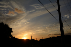 DSC_1816