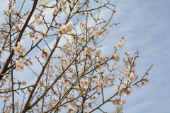 20150321 3