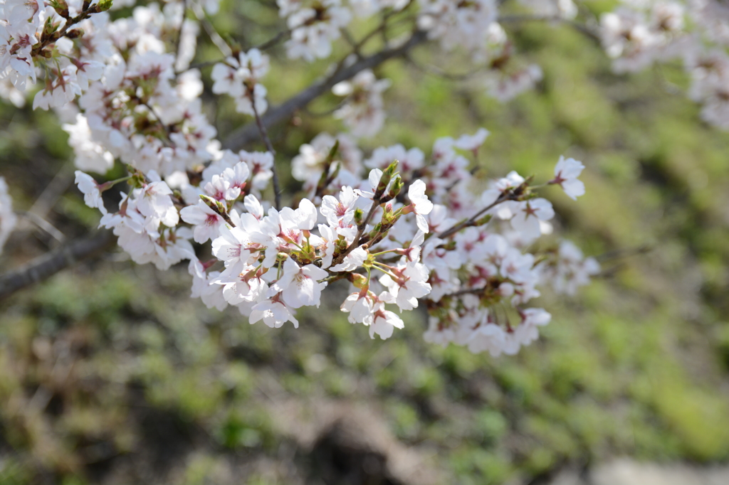 20150404 4
