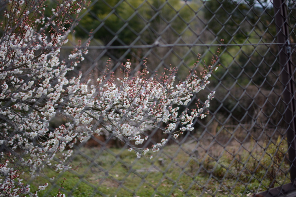 20150228 5