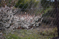 20150228 5