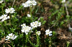 20150404 2