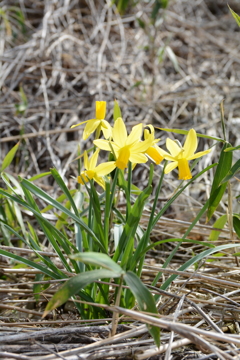 20150321 2