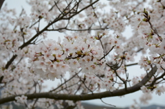 20150404 6