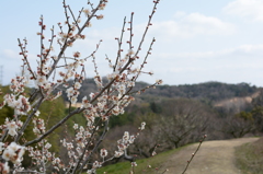 20150228 1