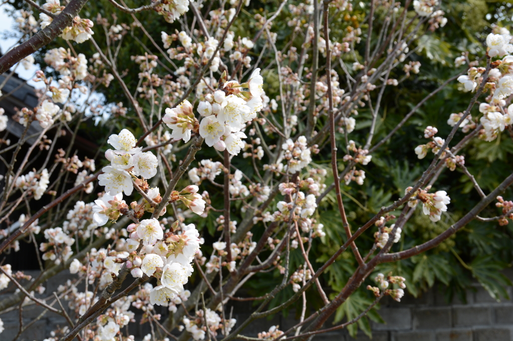 20150321 4