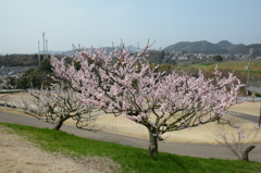 20150321 7