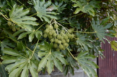 20150321 5