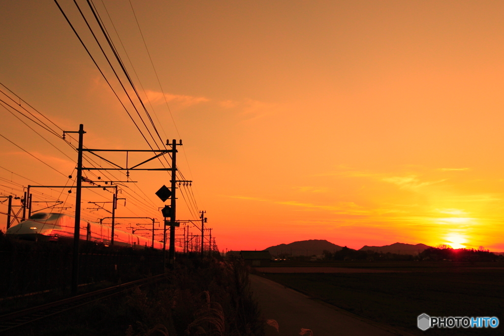 新幹線と夕日