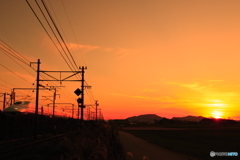 新幹線と夕日
