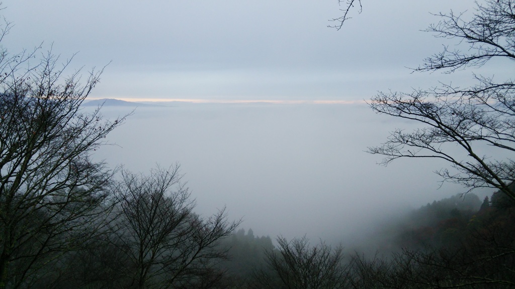 今朝の吉野山