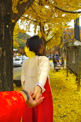 IMGP1568