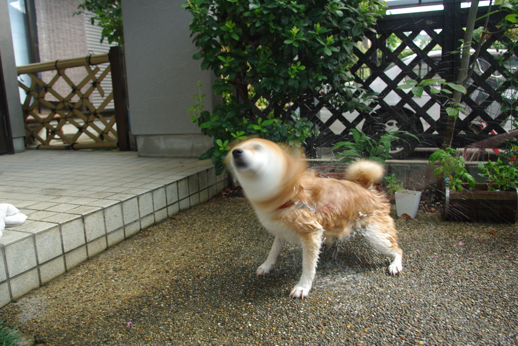 IMGP9714