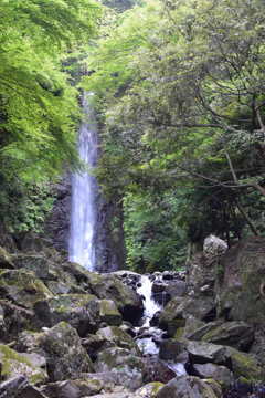 養老乃滝