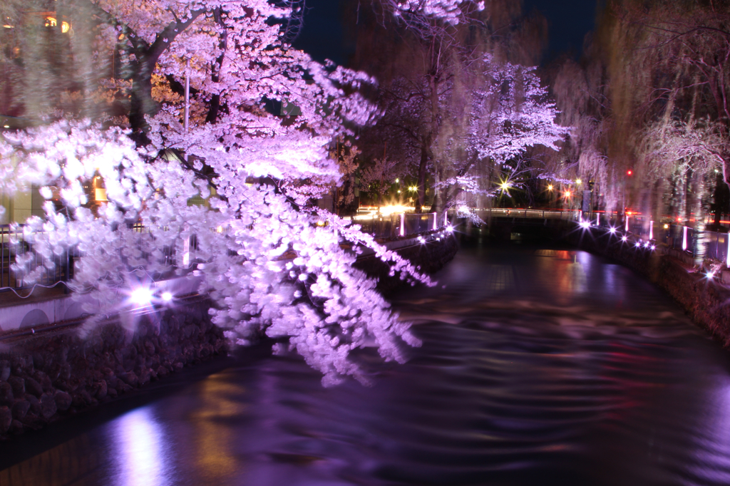 華の盛り