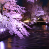 華の盛り