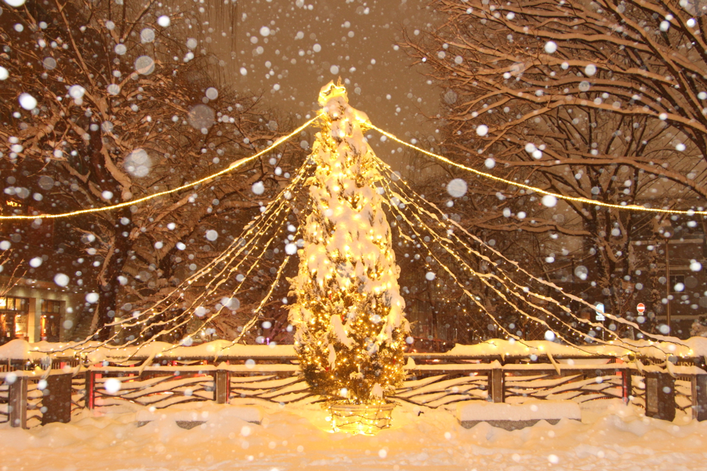大雪の夜に