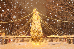 大雪の夜に